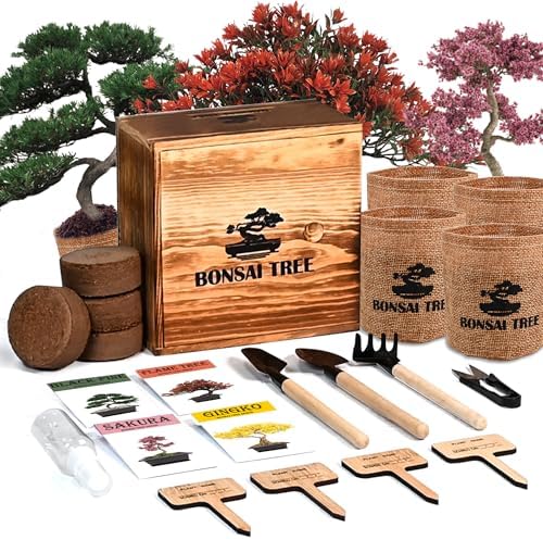 Bonsai Garden Starter Kit, 4 Seeds Growing into Sakura, Ginkgo, Black Pine, Red Flame, Including Complete Gardening Tools & A Planter Box with Cover for Men Women Beginners by StartYourSeedSuccessStory
