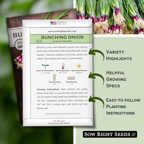 Sow Right Seeds - Scarlet Bandit Bunching Onion Seed for Planting Garden - Image 2