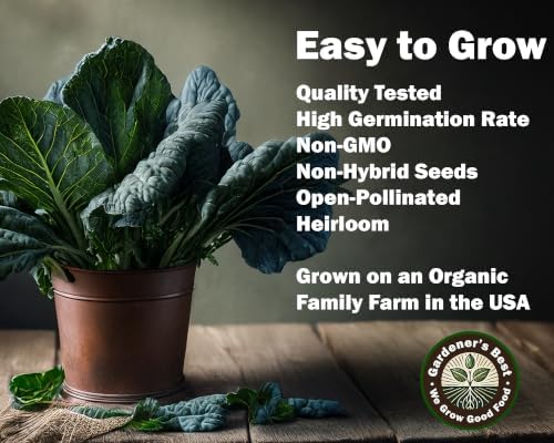 Collard Greens Seeds for Planting (Collards Jumb Combo, 1000, Count) - Image 6