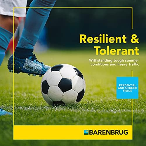 Barenbrug Turf Star Regenerating Perennial Ryegrass Lawn Seed with Yellow Jacket Seed Coating, Fast-Acting Durable Grass Seed Mix for Lawns, 10-lb. Bag - Image 6