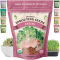 Seedboy Organic Non-GMO Sprouting Seeds (Daikon Radish) by Seedboy