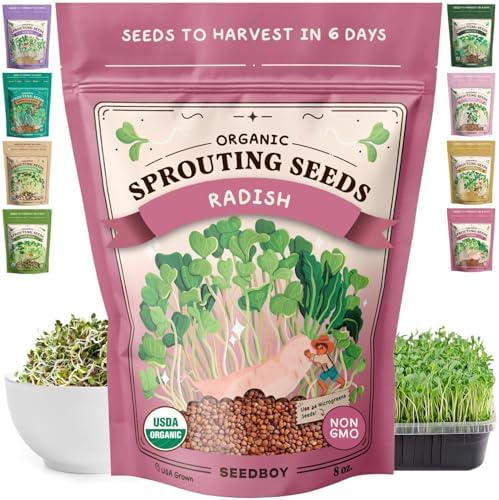 Seedboy Organic Non-GMO Sprouting Seeds (Daikon Radish) by Seedboy