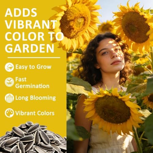 Fall Flower Seeds, 150+ Giant Mammoth Sunflower Seeds for Planting, Open Pollinated Ornamental, Easy to Grow for Garden, Outdoor Planting & Landscaping - Image 3