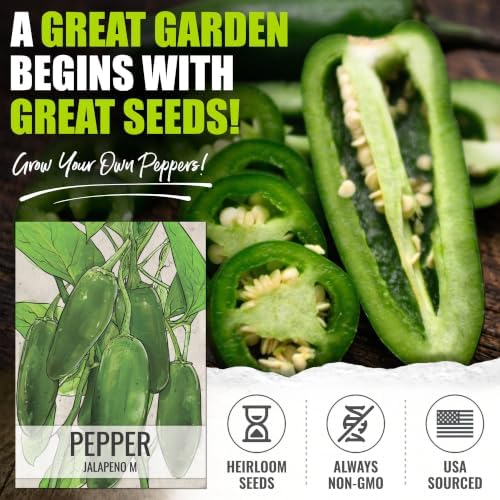 Seed Needs Jalapeño M Hot Pepper Seeds to Plant Vegetables - 10 Packs - Image 2