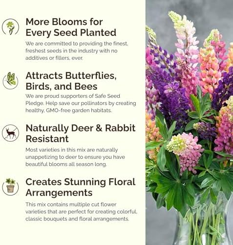 Eden Brothers Lupine Flower Mixed Seeds for Planting, 1 lb, 480,000+ Seeds with Russell, Arroyo, Yellow, Sky Lupine | Attracts Pollinators, Plant in Spring or Fall, Zones 3, 4, 5, 6, 7, 8, 9, 10 - Image 4