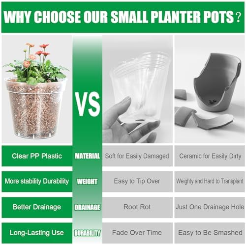 BTPLASTIK 50 Pack 2.5 Inch Clear Nursery Pots for Plants, Sturdy Plastic Plant Pot for Planting Vegetables Flowers Seedlings, Transparent Seed Starter Pots with Drainage Holes, garden, Gardening Gifts - Image 4