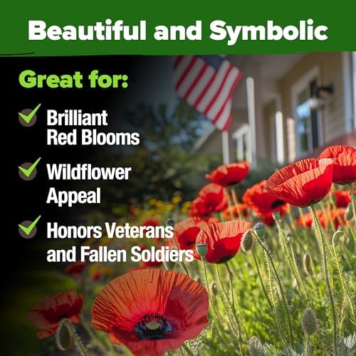 HOME GROWN American Legion Red Poppy Seeds, 6,000 Seeds, Papaver rhoeas - Image 6