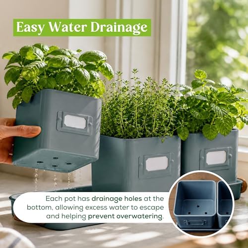 volila Herb Planter Indoor - Set of 3 Teal Blue Indoor Herb Garden Pots for Plants with Leather Handled Tray - Window Sill Plant Shelf - Herb Pots with Drainage Holes and Labels - Image 4