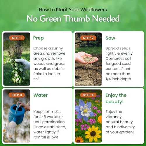 Colorado Wildflower Seed Mix – Over 53,000 Flower Seeds, Covers 300 Sq Ft - Image 4