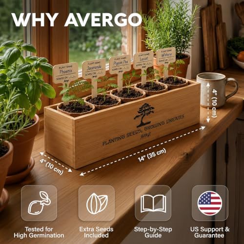 Bonsai Tree Kit Classic - Growing 5 Unique Japanese Bonzai Trees - Image 2