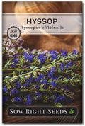 Sow Right Seeds - Hyssop Seed for Planting Perennial Medicinal Herb by SowRightSeeds