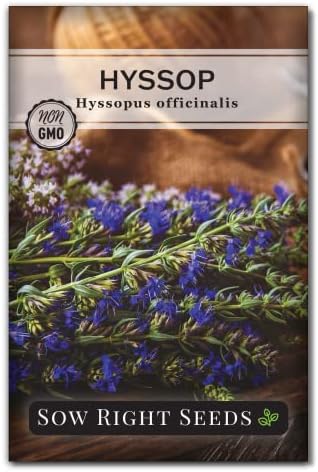 Sow Right Seeds - Hyssop Seed for Planting Perennial Medicinal Herb by SowRightSeeds