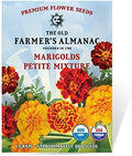 The Old Farmer's Almanac Petite Mixture Marigold Seeds - Premium Non-GMO, Open Pollinated, USA Origin - Approx 200 Flower Seeds by TheOldFarmersAlmanac