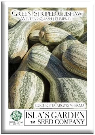 Green Striped Cushaw Pumpkin Seeds (Cucurbita argyrosperma) – 25 Heirloom Non-GMO Seeds by Isla’s Garden Seeds, Also Known as Crookneck Winter Squash, Long Striped Pie Variety, Sweet Creamy Flesh by IslasGardenSeedsCompany
