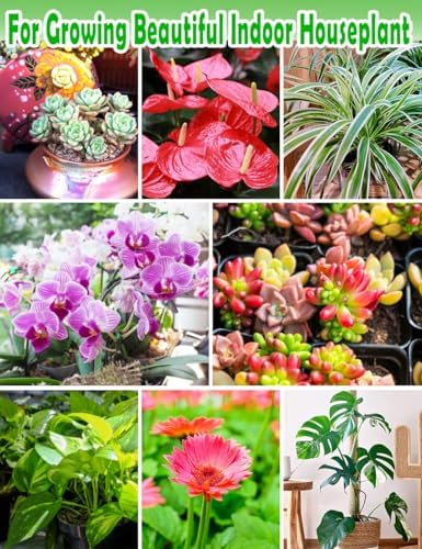 TOYPOPOR Perlite for Plants, 3-6mm Organic Perlite for Gardening, Perlite for Plants Indoor, Soil Additive Conditioner Mix Improve Drainage and Ventilation Promote Root Growth and Soil Health 1qt - Image 6