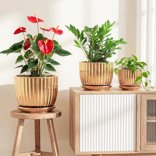 Plant Pots,Ceramic Flower Pots with Drainage Holes & Saucers Set of 3（Gold） - Image 7