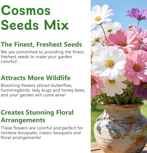 LUOJIBIE Cosmos Seeds, 4,500+ Cosmos Flower Seeds for 2026, Wildflower Seeds for Planting Outdoor Garden, Crazy Blend Mix Color, No Filler, 1.5 Oz Packet, Easy to Grow - Image 5