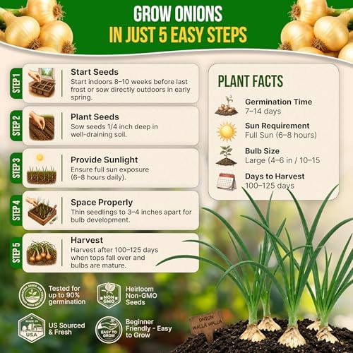 Onion Walla Walla Seeds Pack 1G - Over 275 Non-GMO Heirloom Onion Seeds for Planting Vegetables in Individual Seed Packet, Vegetable Seeds for Planting Home Garden Indoor & Outdoor Gardening - Image 6