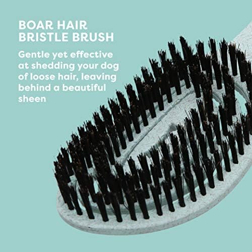 BioSilk for Dogs Eco-Friendly Boar Hair Bristle Brush, 48-Pack - Image 4