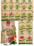 14 Herb, Tomato & Chili Pepper Gardening Seeds Salsa Variety Pack for Outdoors & Indoor Garden 5180+ Non-GMO Heirloom Seeds Cilantro, Basil, Oregano, Parsley, Onion, Pepper Tomato Seed by OrganoRepublic
