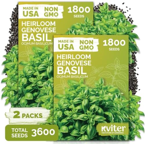 3,600 Genovese Basil Heirloom Herb Seeds for Planting, Ocimum Basilicum by KVITER