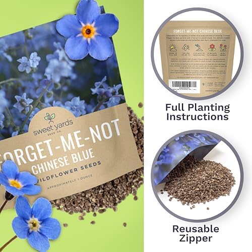 Chinese Forget Me Not Wildflower Seeds - Bulk 1 Ounce Packet - Over 5,500 Open Pollinated Seeds - Blue Cynoglossum amabile - Image 5