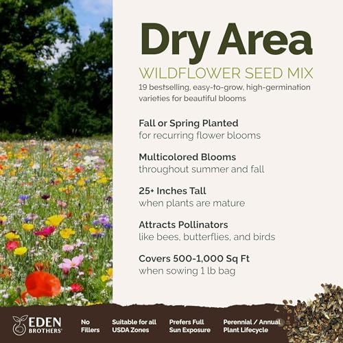 Eden Brothers Dry Area Wildflower Mixed Seeds for Planting, 1 lb - Image 2