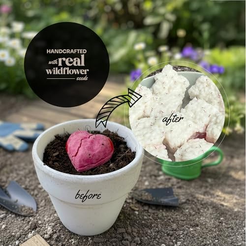 24-Count Plantable 3D Heart Wildflower Seed Bomb Favors - Image 4