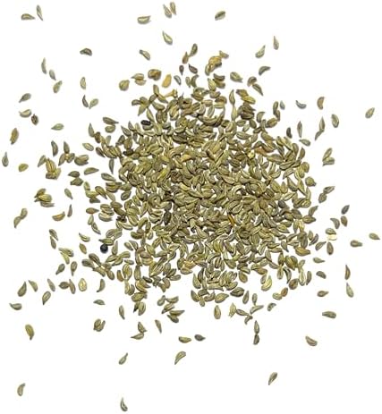 Seed Needs Curly Parsley Seeds to Plant an Herb Garden - 1 Pack - Image 5
