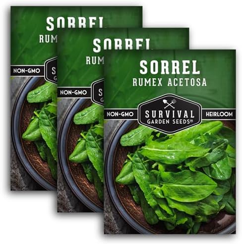 Sorrel Seeds for Planting - 3 Packs by SurvivalGardenSeeds