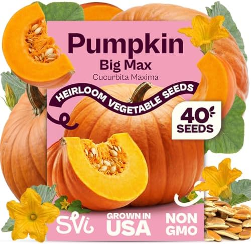 SVI 40 Big Max Pumpkin Seeds (Cucurbita Maxima) – Giant Pumpkin Seed Packets, Pumpkins Squash Garden Seed – Heirloom Vegetable Seeds for Home Garden, Outdoor Beds, and Sunny Home Plots by SVI