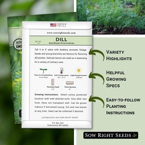 Sow Right Seeds- Bouquet Dill Seed for Planting Non-GMO Heirloom Garden 2pk - Image 2