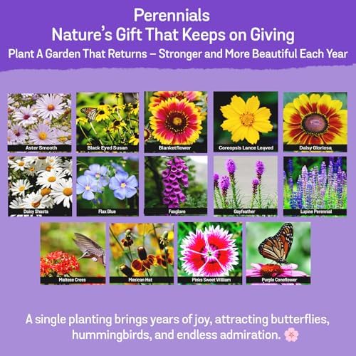 NatureZ Edge Wildflower Seeds Mix – 2 Oz, 85,000 Seeds, 35 Variety Perennial & Annual Flower Seeds to Plant Outside, Bulk Wildflower Seeds, Wild Flower, Semillas de Flores - Image 4