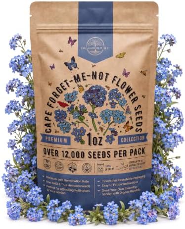 Cape Forget-Me-Not Seeds 1oz - Over 12,000 Non-GMO Heirloom Forget Me Not Seeds for Planting, Annual Flowers in Individual Seed Packet, Planting Home Garden Indoor & Outdoor Gardening by OrganoRepublic