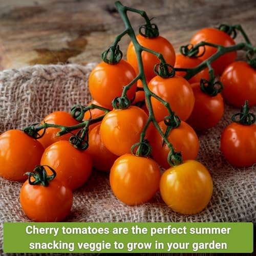 Sow Right Seeds - Cherry Tomato Seed Collection for Planting Home Garden - Image 4