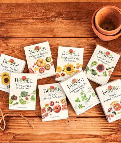 Burpee Best 10 Non-GMO Planting Tomato Seeds for Garden Gifts (1 Pack) - Image 6