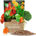 Nasturtium Seeds – Mixed Colors – Bulk Quarter Pound Bag – Over 900 Open Pollinated Non-GMO Flower Seeds – Tropaeolum majus by SweetYards