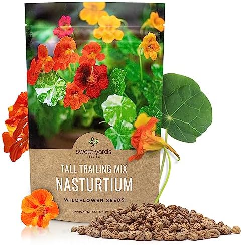 Nasturtium Seeds – Mixed Colors – Bulk Quarter Pound Bag – Over 900 Open Pollinated Non-GMO Flower Seeds – Tropaeolum majus by SweetYards