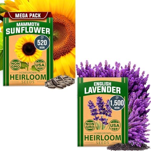 HOME GROWN Lavender & Sunflower Seed Kit – 2-Pack with 1,500 English Lavender & 520+ Mammoth Sunflower Non-GMO USA Seeds – Indoor & Outdoor Wildflower Garden Set – Easy to Grow, Heirloom Flowers by HOMEGROWN