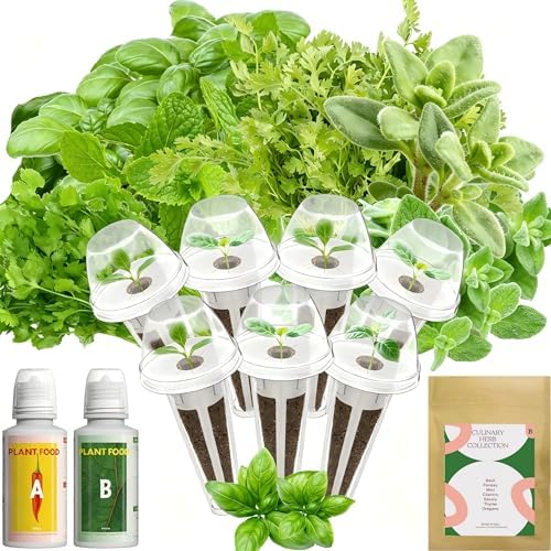 inbloom Hydroponics Herb Seed Pod Kit for AeroGarden, iDoo, Ahopegarden, GARDENCUBE, 7 Pods (350+ Herb Seeds with Basil, Parsley, Mint, Cilantro, Savory, Thyme and Oregano) by inbloomgarden