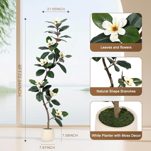 Artificial Magnolia Tree, Tall Faux Plant Indoor with White Flowers in White Planter, Artificial Trees for Home Decor Indoor, Faux Trees Indoor for Living Room Office,6FT - Image 5