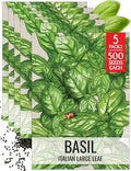 Seed Needs Italian Large Leaf Basil Seeds to Plant an Herb Garden - 5 Packs by SeedNeeds