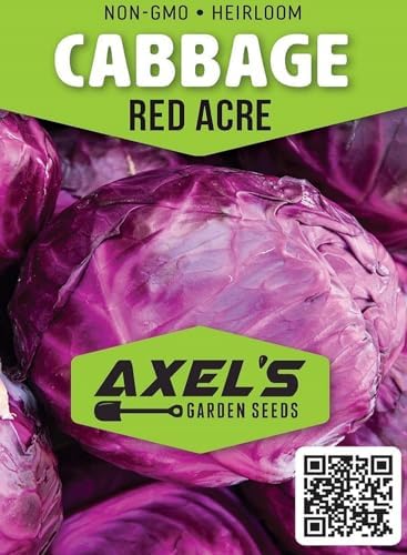 Cabbage Seeds for Planting - Plant & Grow Heirloom Cabbage Varieties Home Outdoor Garden – Easy Grow Planting Packet Instructions Included, Great Gardening Gift – 3 Packets of Each Variety - Image 7