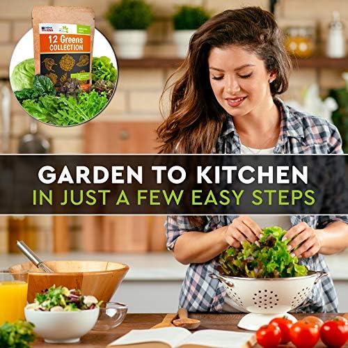 12 Lettuce and Greens Seed Pack - Heirloom and Non GMO, Grown in USA - Indoor or Outdoor Garden - Iceberg, Arugula, Kale, Spinach, Bibb, Butter, Green Oakleaf, Giant Collard, Red Romaine - Image 4