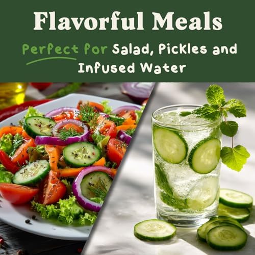Organic Non-GMO Vegetable Seeds for Planting (Marketmore Cucumber) - Image 5
