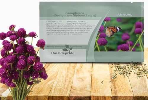 Outsidepride Purple Gomphrena Seeds - 1000 Pcs Annual, Heat & Drought Tolerant, Pollinator Friendly Globe Amaranth Seeds for Planting w/Vibrant Round Blooms for Beds, Borders, and Arrangements by Outsidepride