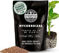 DYNOMYCO Mycorrhizal Fungi Inoculant, 100g/3.5oz by DYNOMYCO