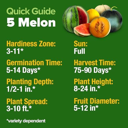 HOME GROWN 5 Variety Melon Mix Seeds, 115+ Seeds, Cucumis melo/Citrullus - Image 5