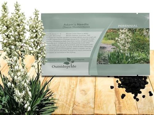 Outsidepride Adam's Needle Yucca Seeds for Planting - 200 Pcs Drought Tolerant Flower Seeds with Evergreen Foliage & Pollinator-Friendly Flowers, for Xeriscaping, Dry or Sandy Landscapes by Outsidepride