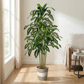 Artificial Dracaena Tree 5FT Tall Fake Plant with Planter&Basket by LuceAlberi